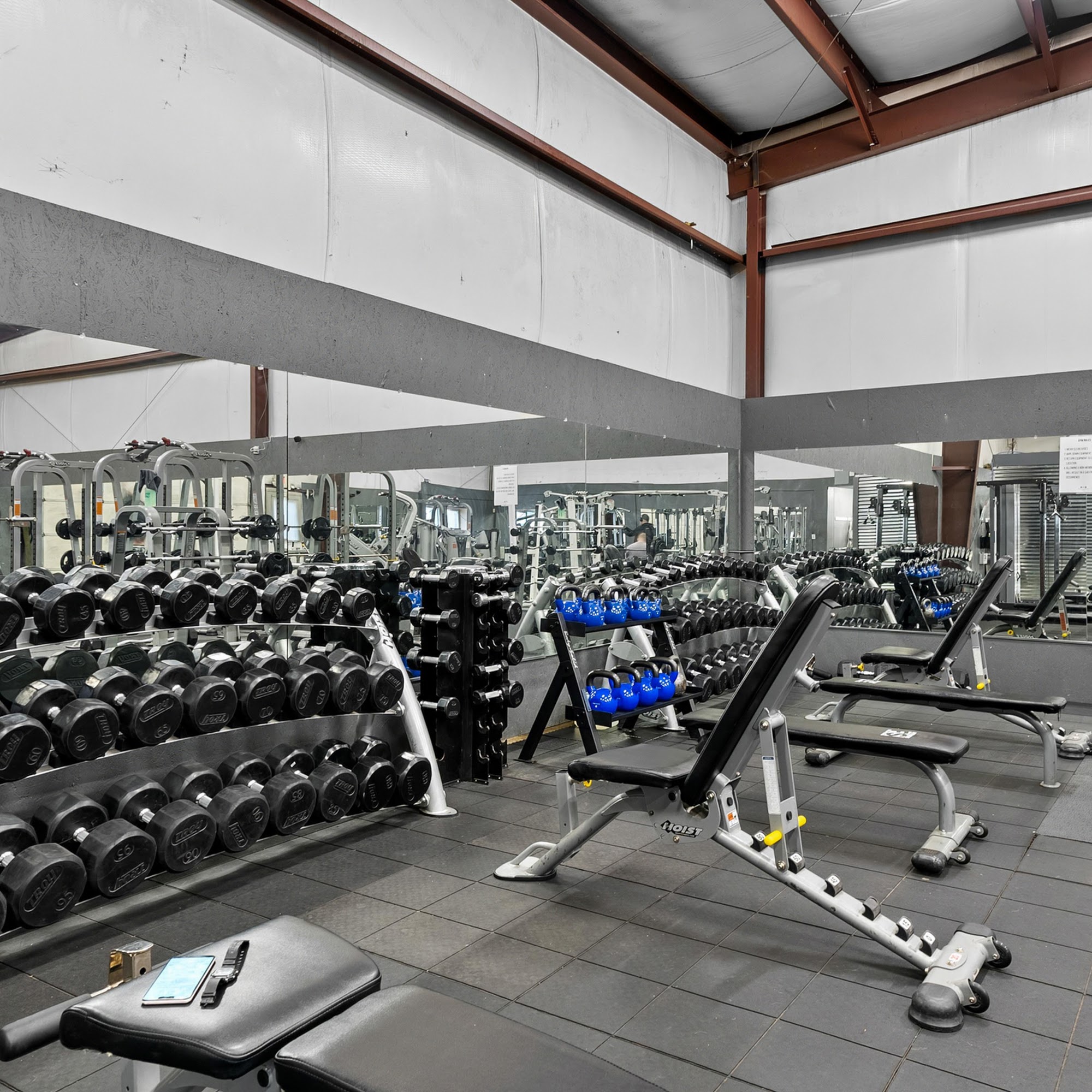 Body Improvement Wellness