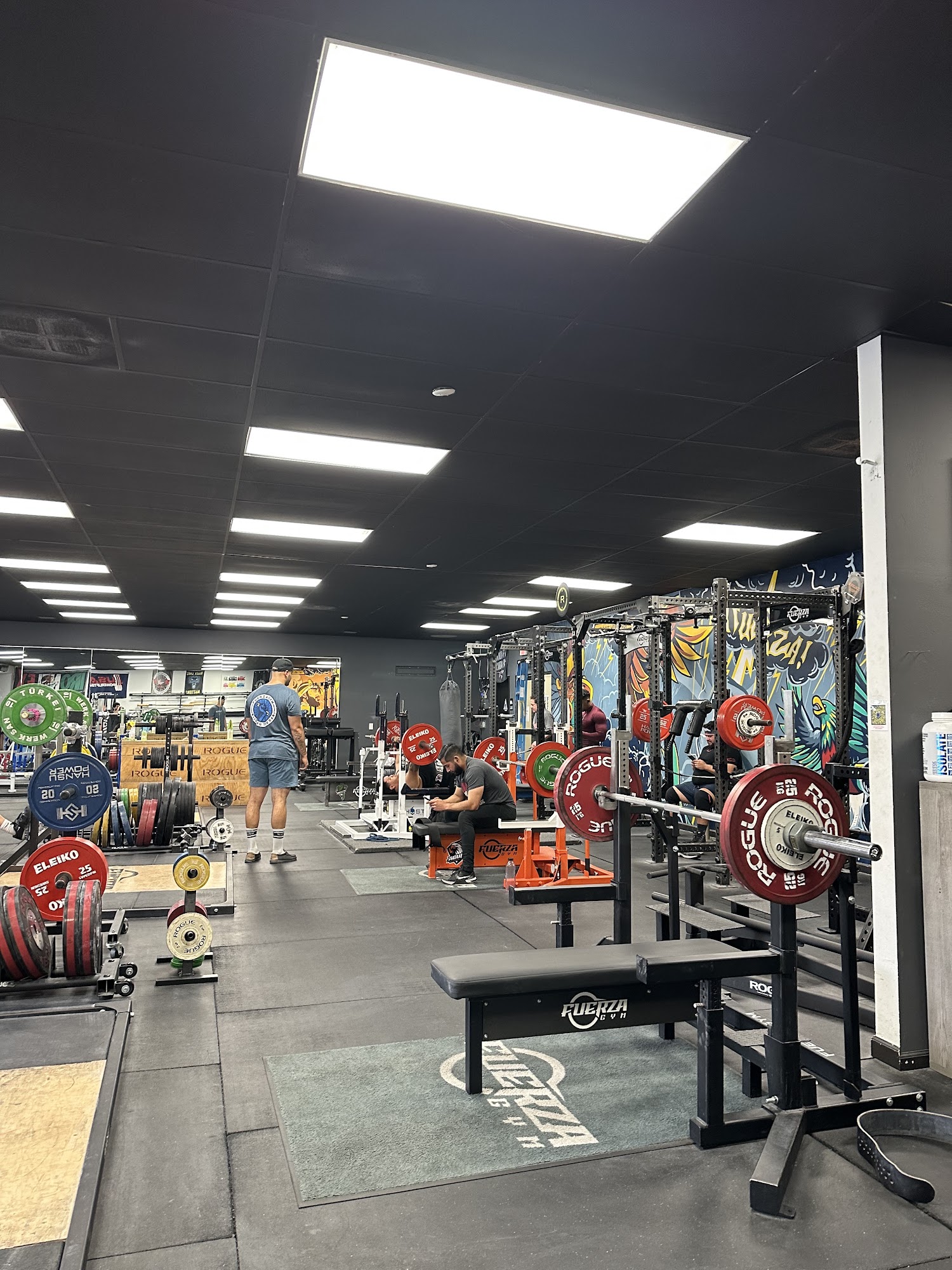 Fuerza Gym