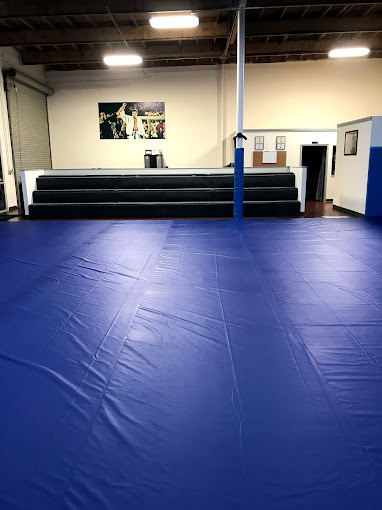 Gracie Jiu Jitsu Apple Valley