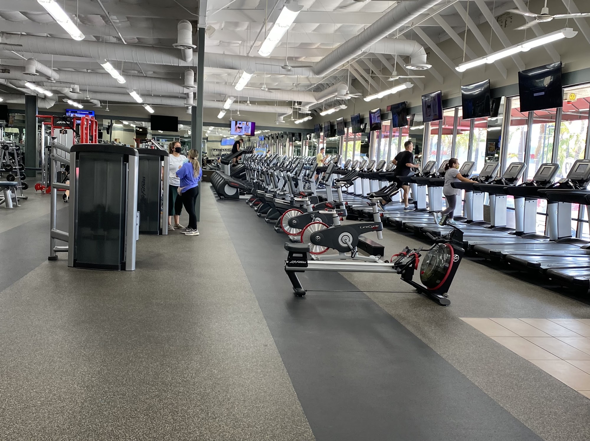 Fitness 19