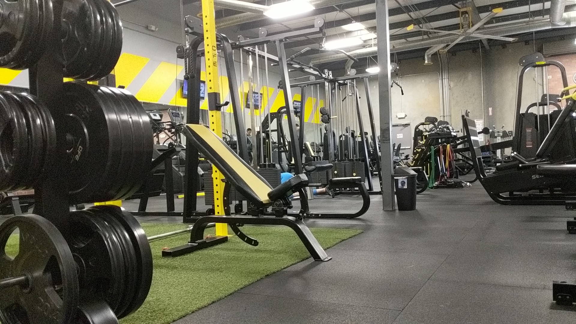 Evolution Strength & Conditioning
