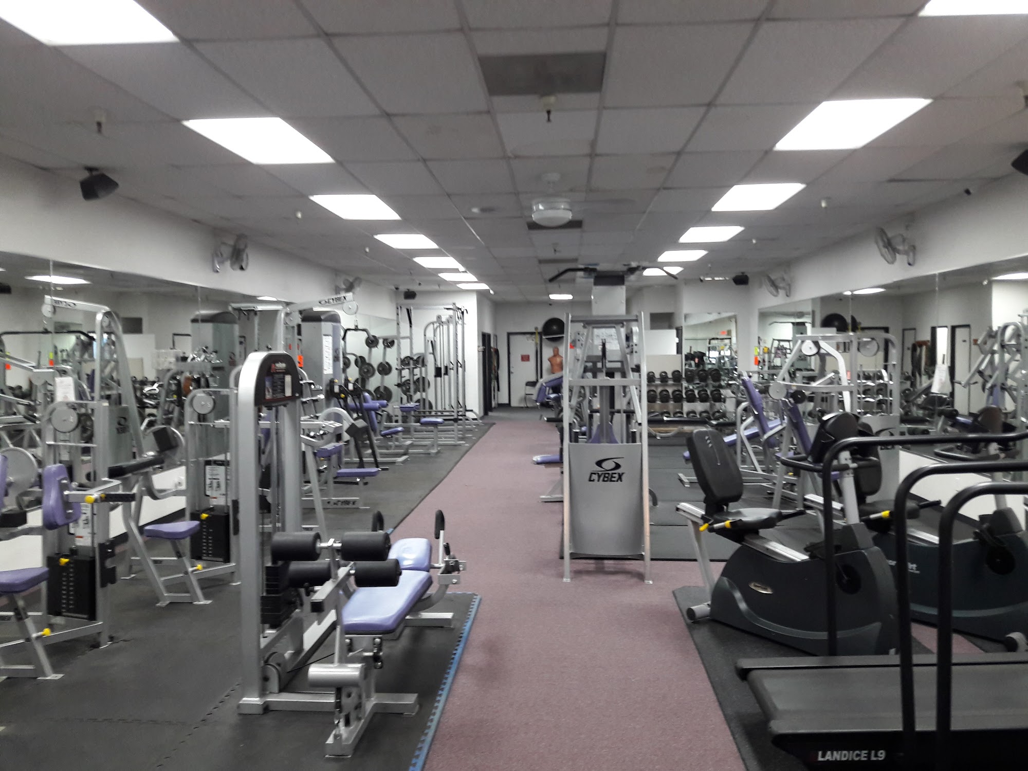 Paradise Fitness 24/7