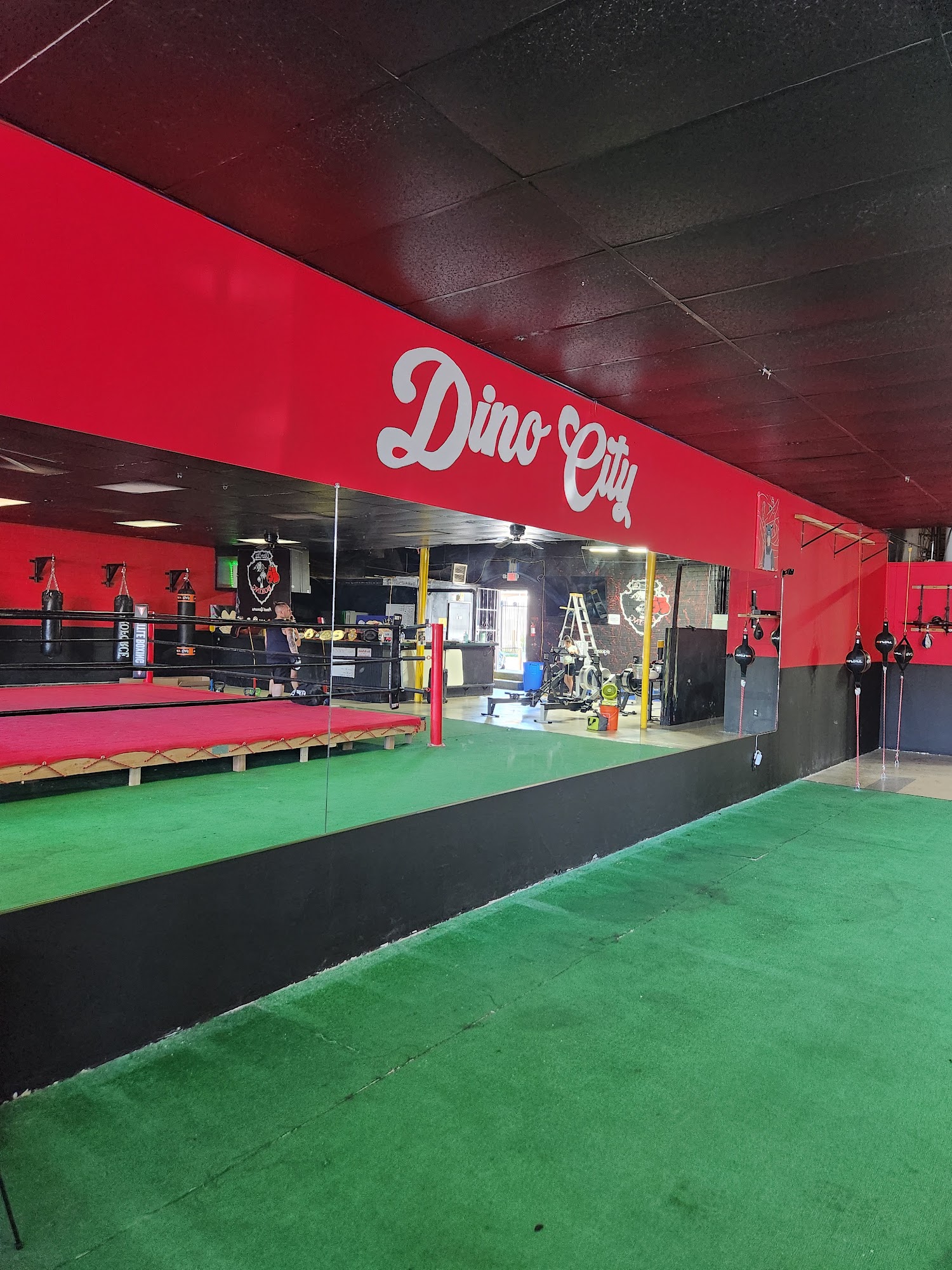 Dino City Boxing Academy