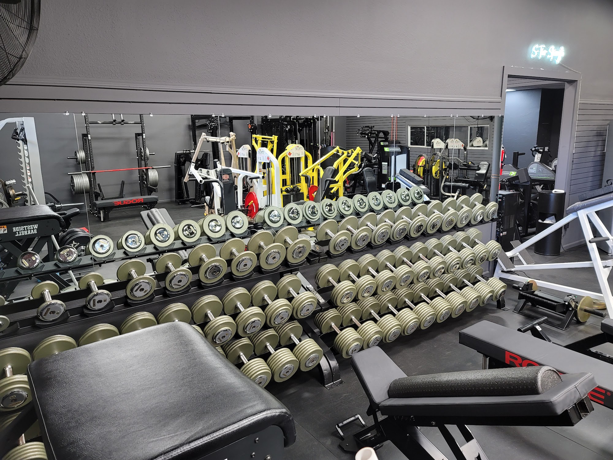 Bay Boi Fitness, Fitness and Nutrition Studio