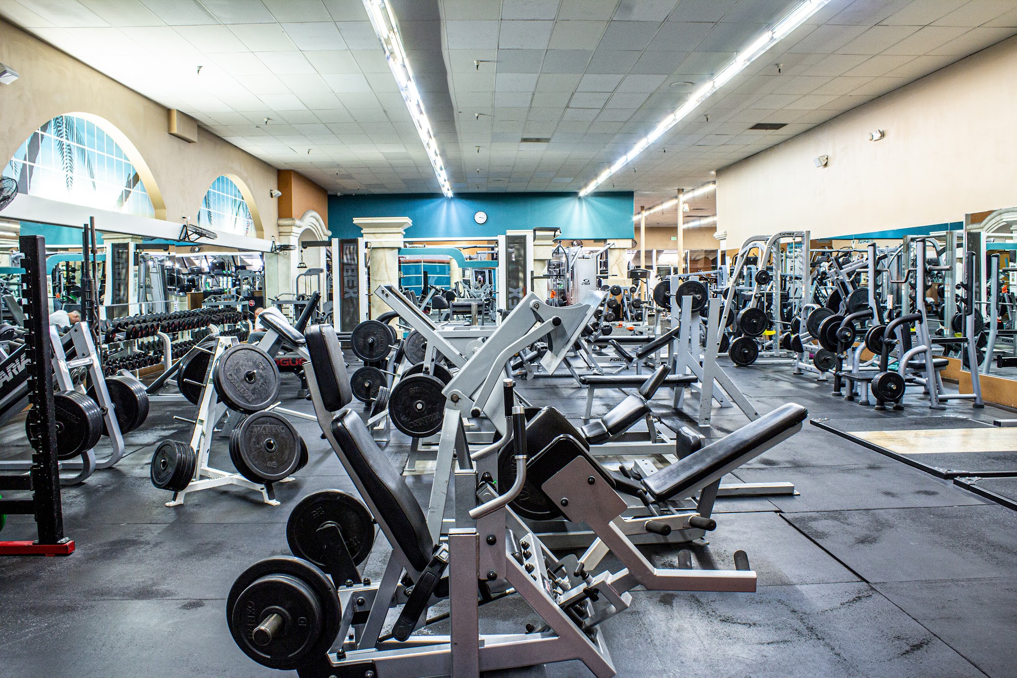 In Motion Fitness