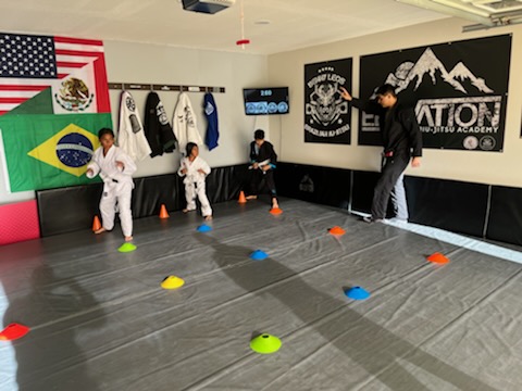 Elevation Jiu-Jitsu Academy LLC