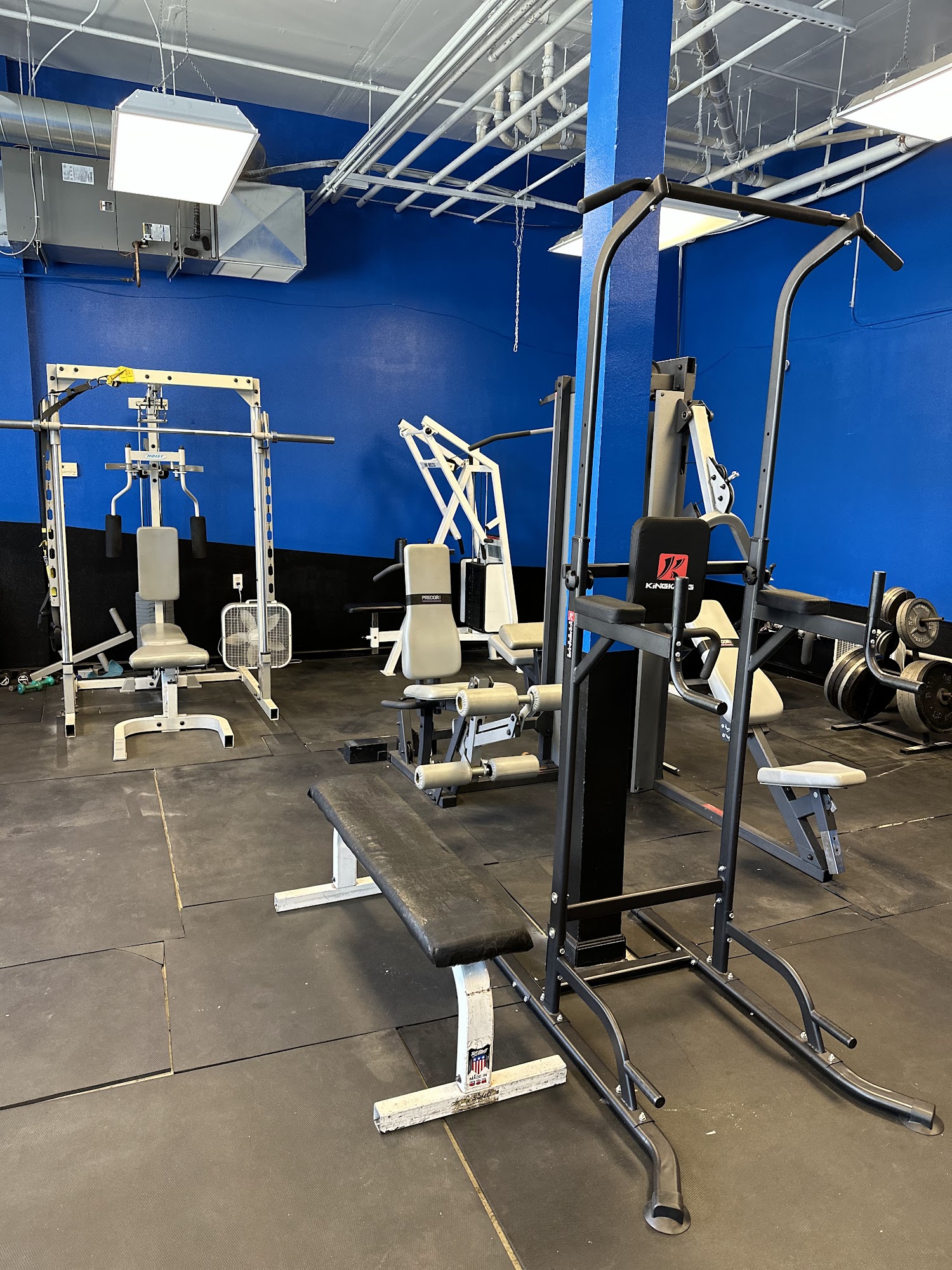 Immortal Fitness